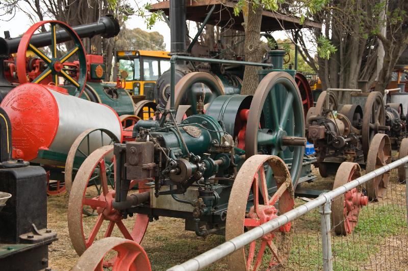 geelong show 08_78.jpg